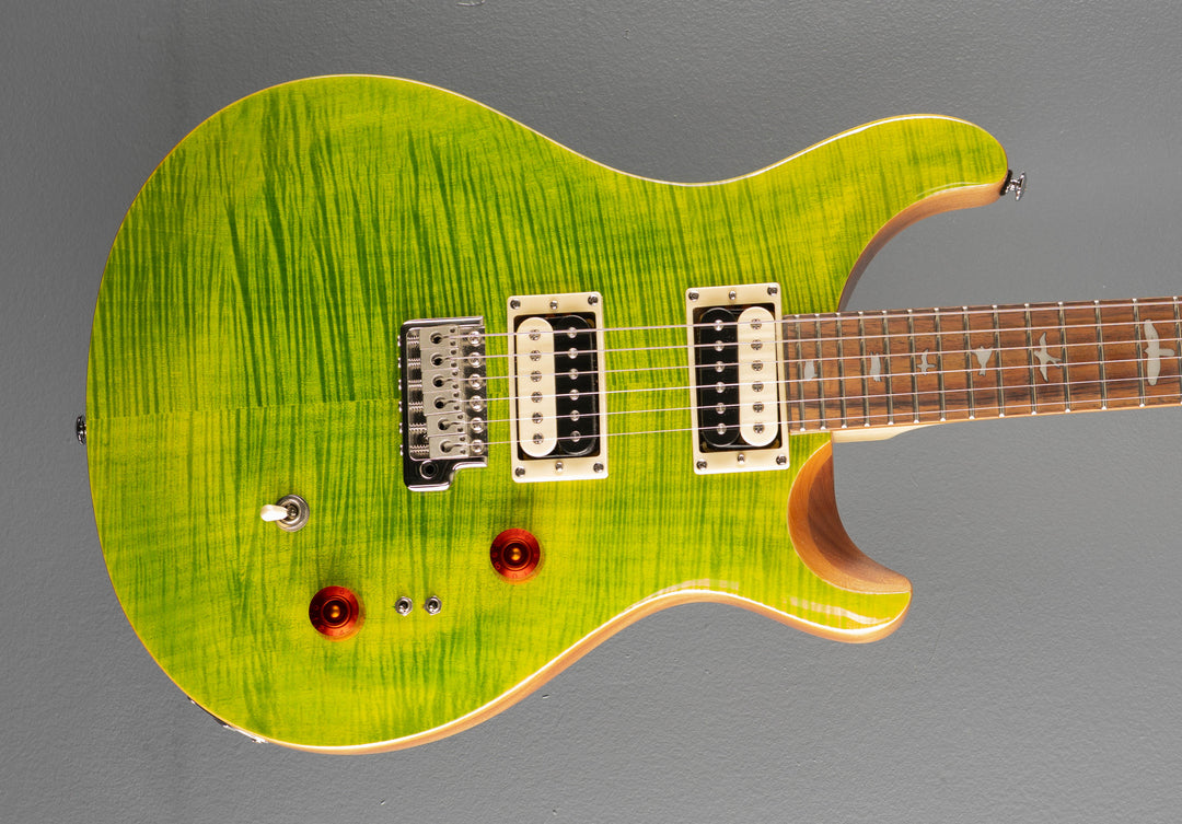 SE Custom 24-08 &