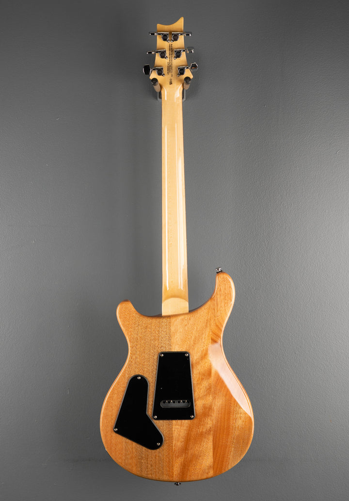 SE Custom 24 &