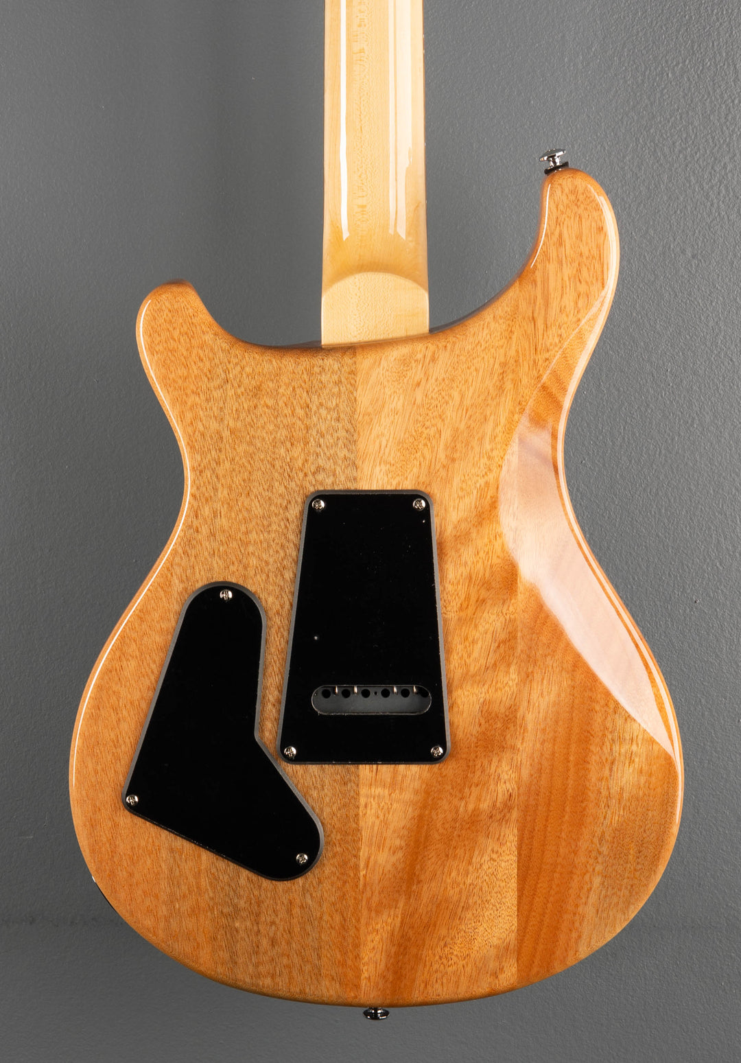 SE Custom 24 &