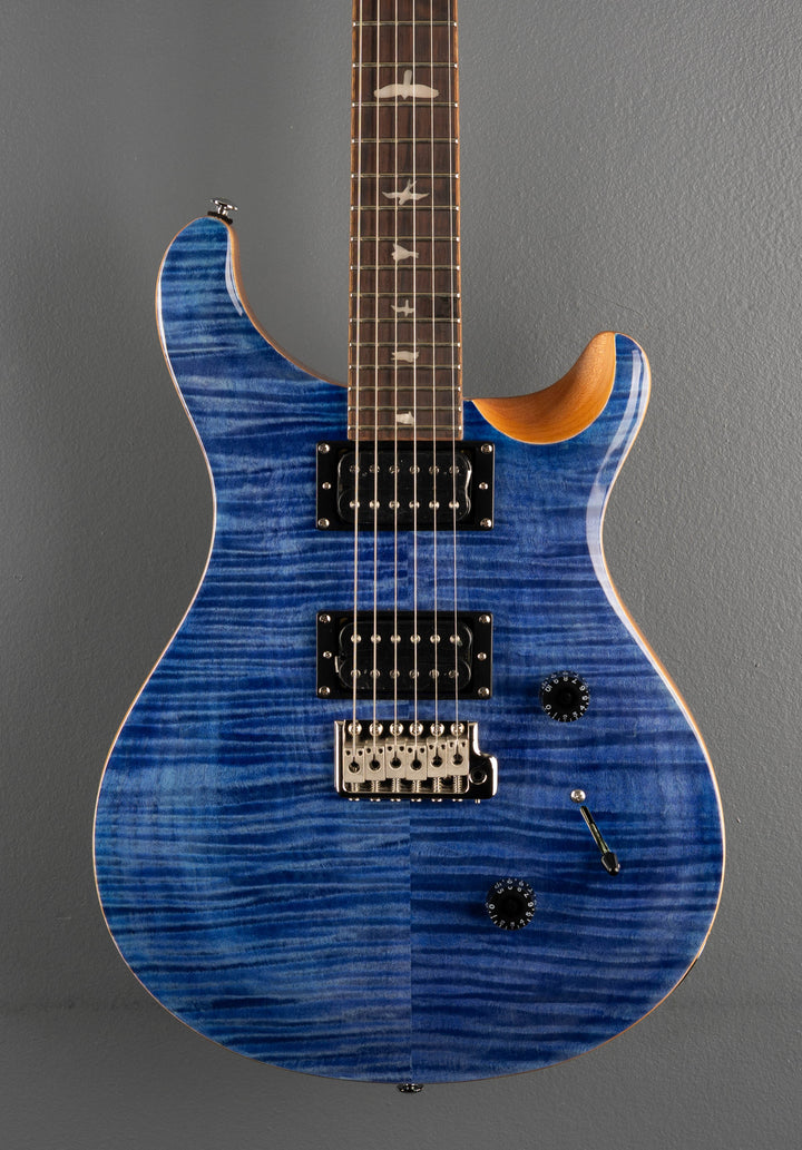 SE Custom 24 &