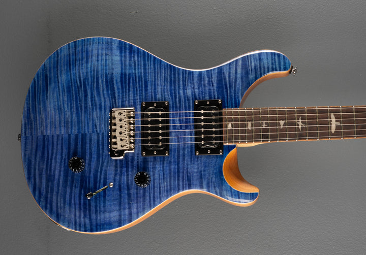SE Custom 24 &