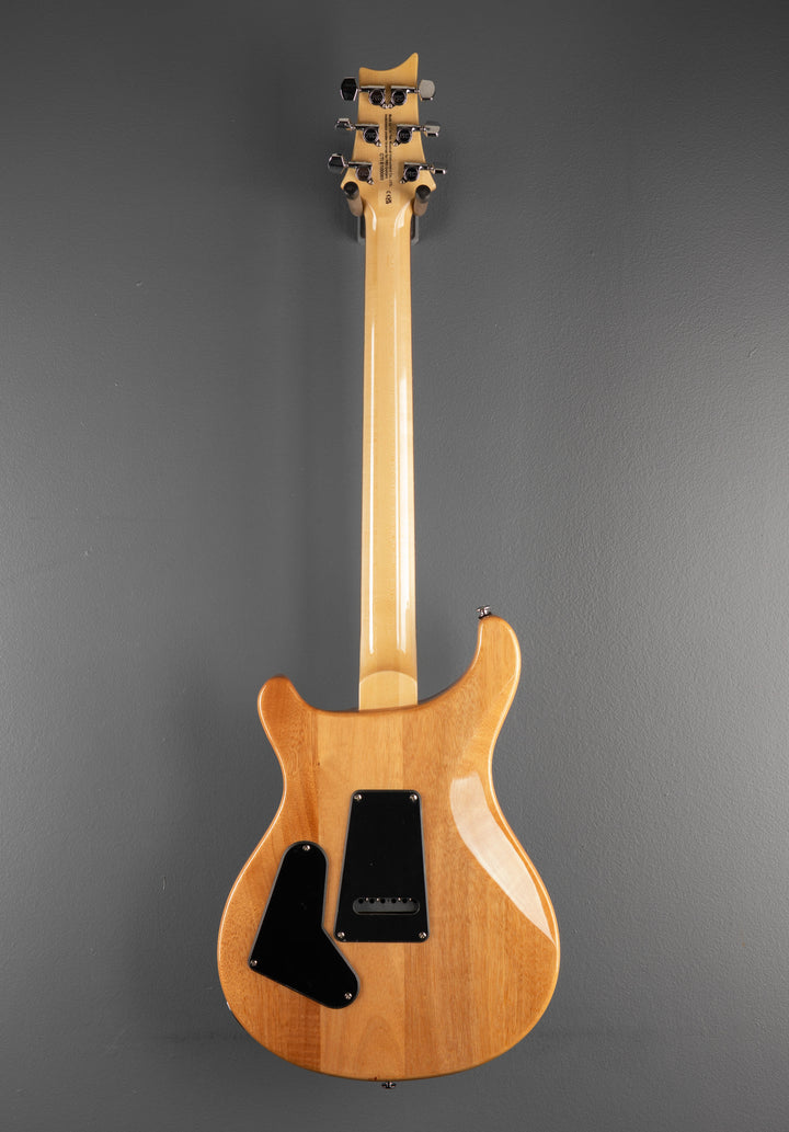SE Custom 24 &