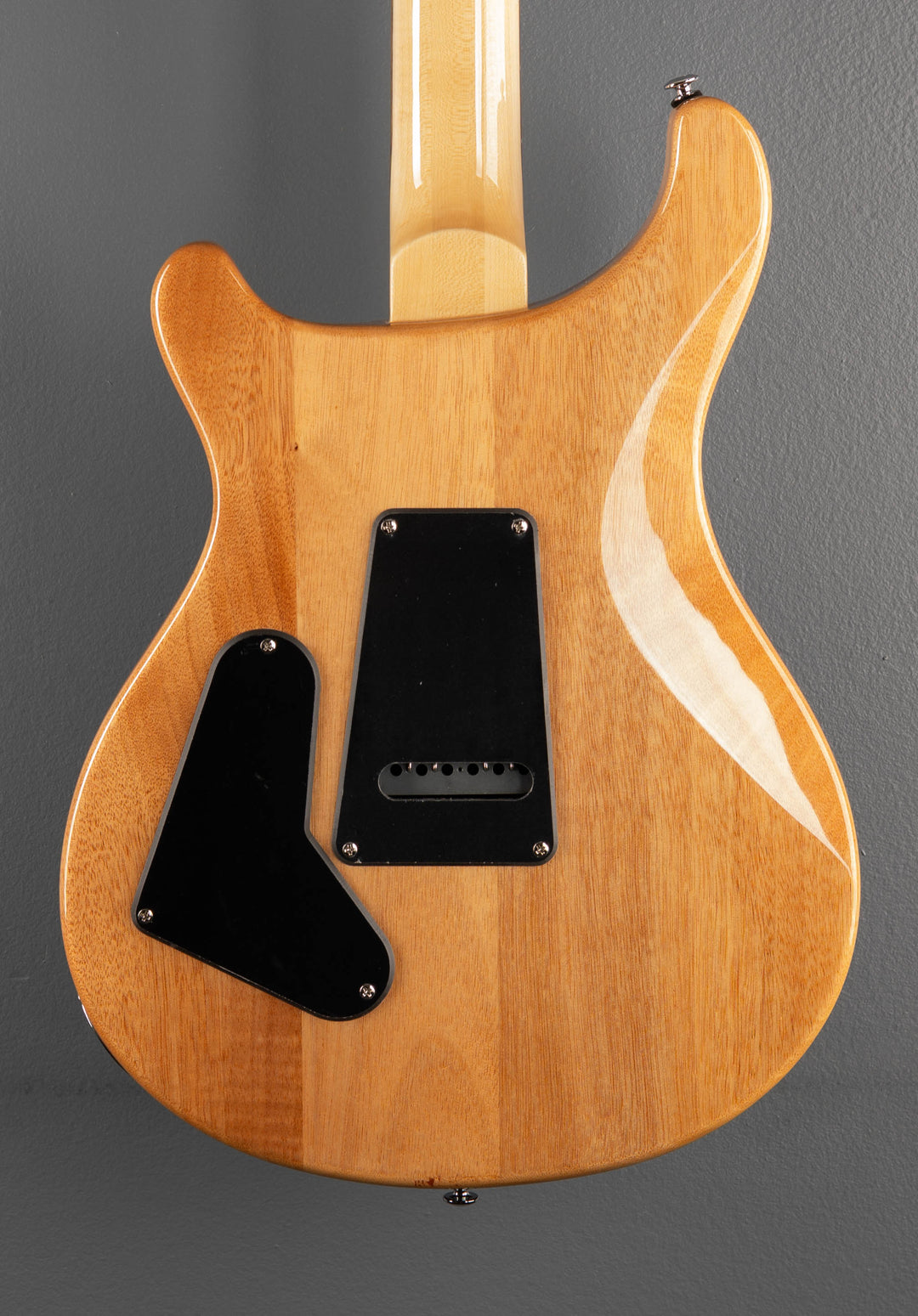 SE Custom 24 &