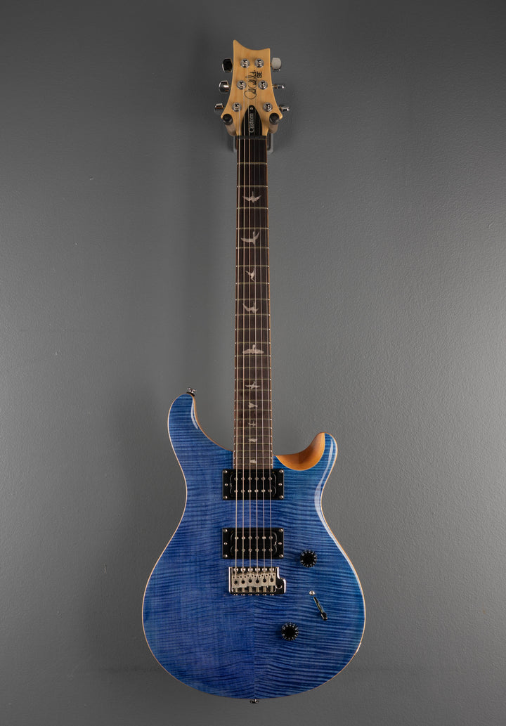 SE Custom 24 &