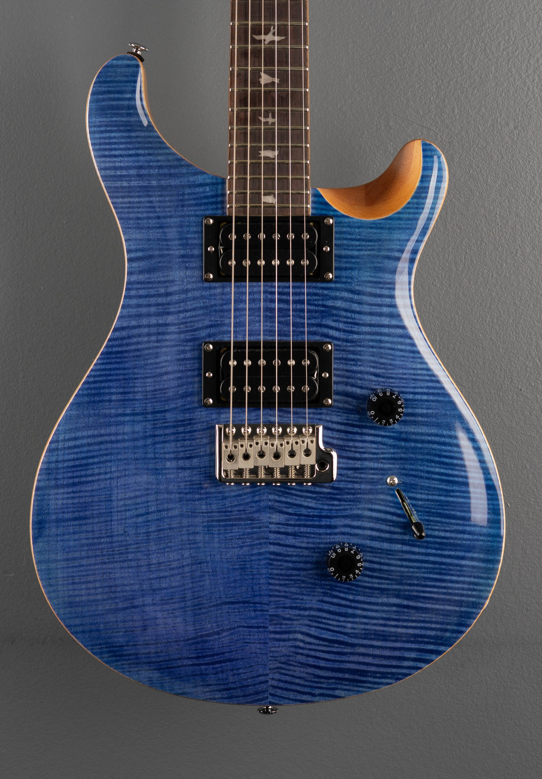 SE Custom 24 &