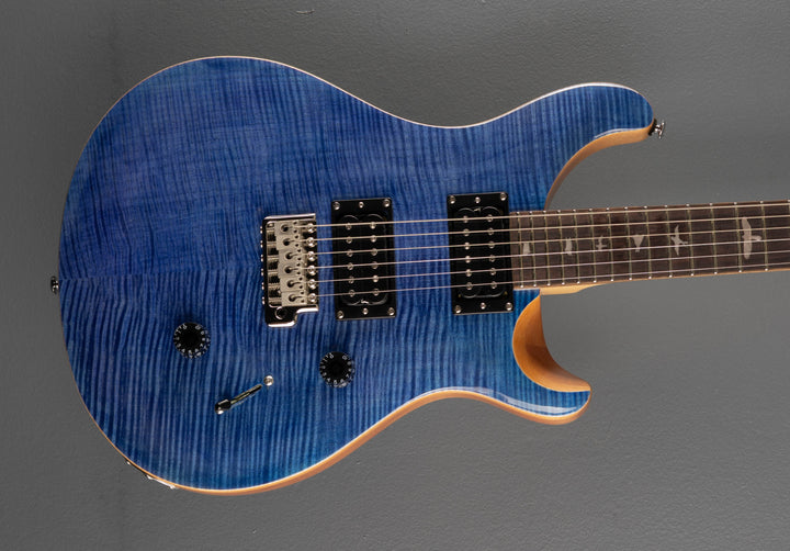 SE Custom 24 &