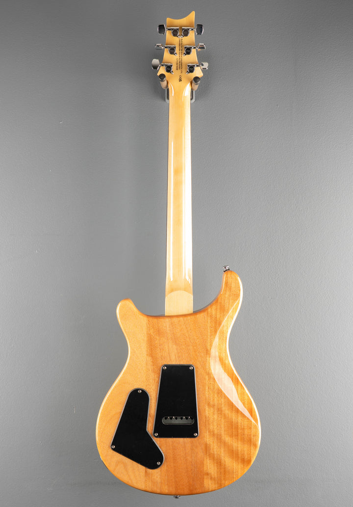 SE Custom 22 Semi-Hollow &