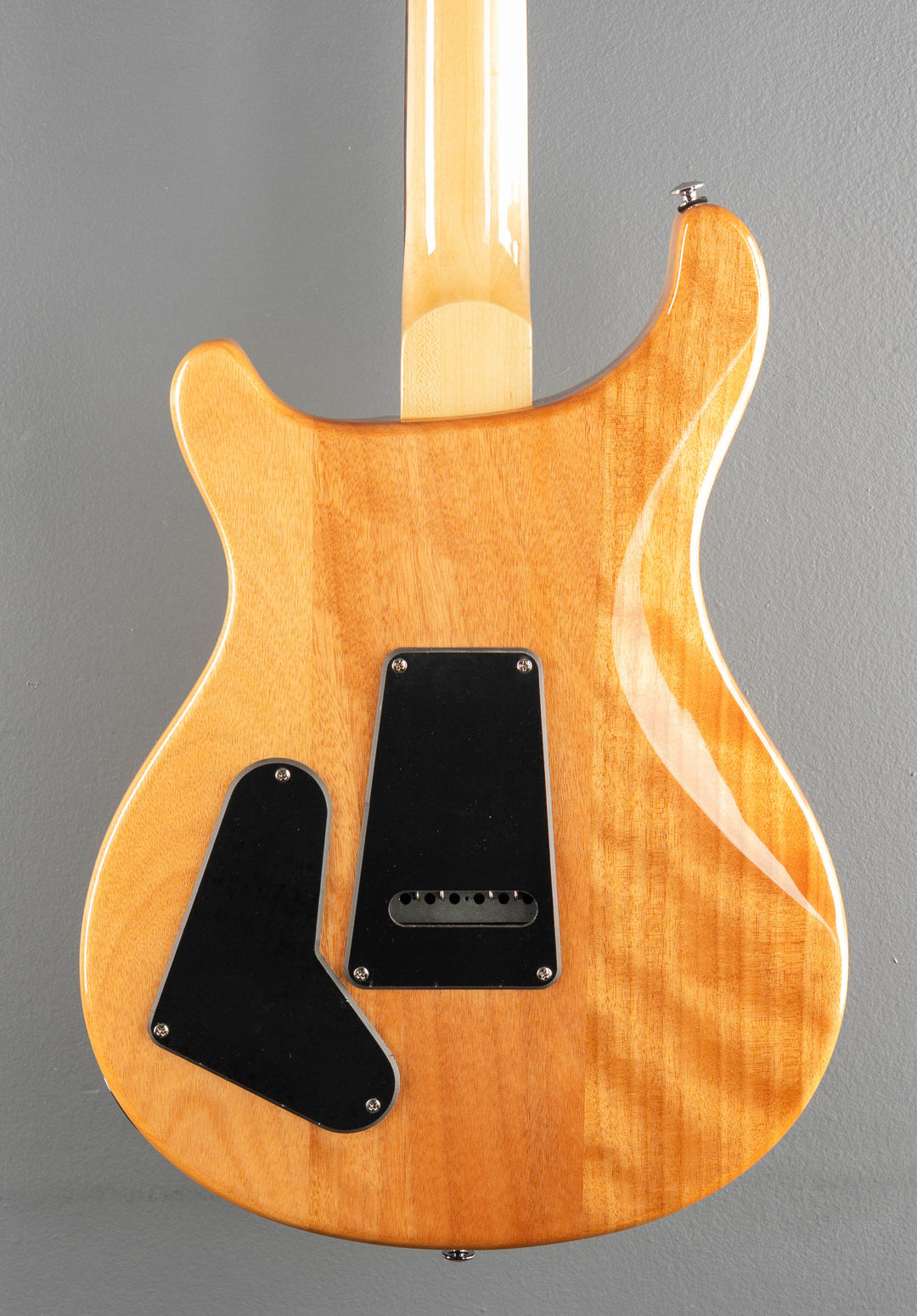 SE Custom 22 Semi-Hollow &