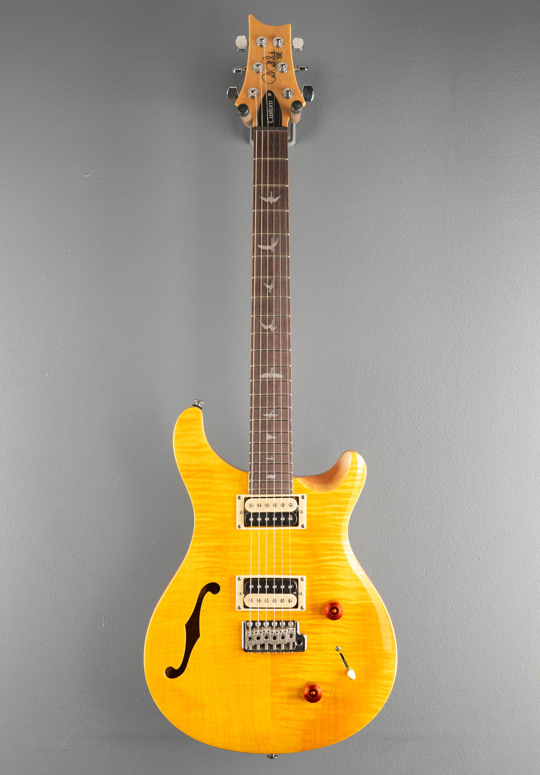 SE Custom 22 Semi-Hollow &
