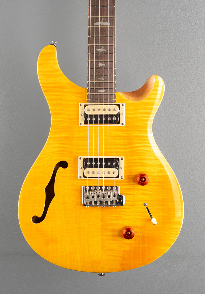 SE Custom 22 Semi-Hollow &