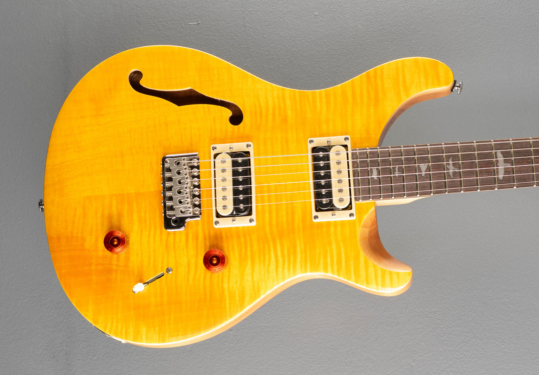 SE Custom 22 Semi-Hollow &