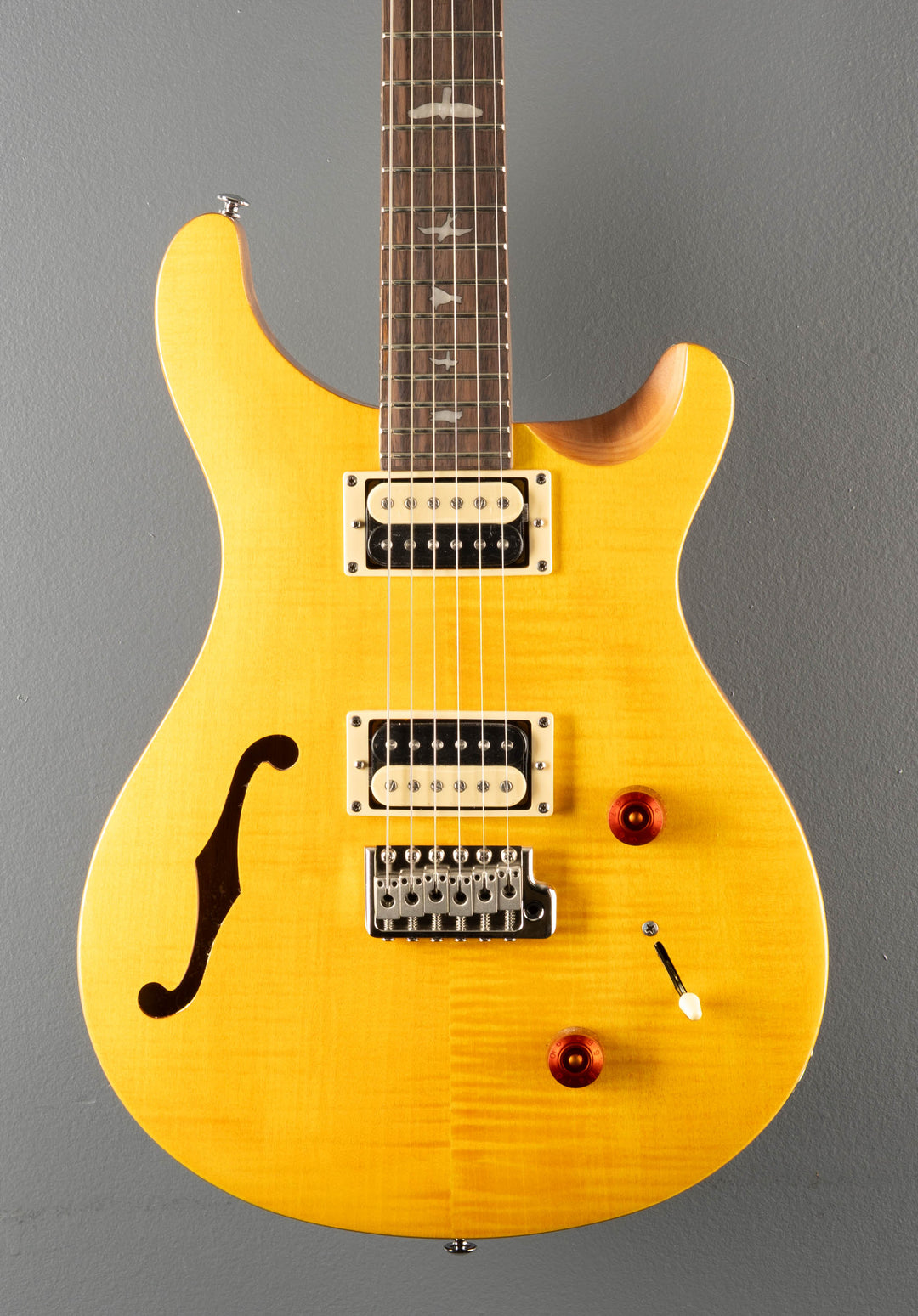 SE Custom 22 Semi-Hollow, '22