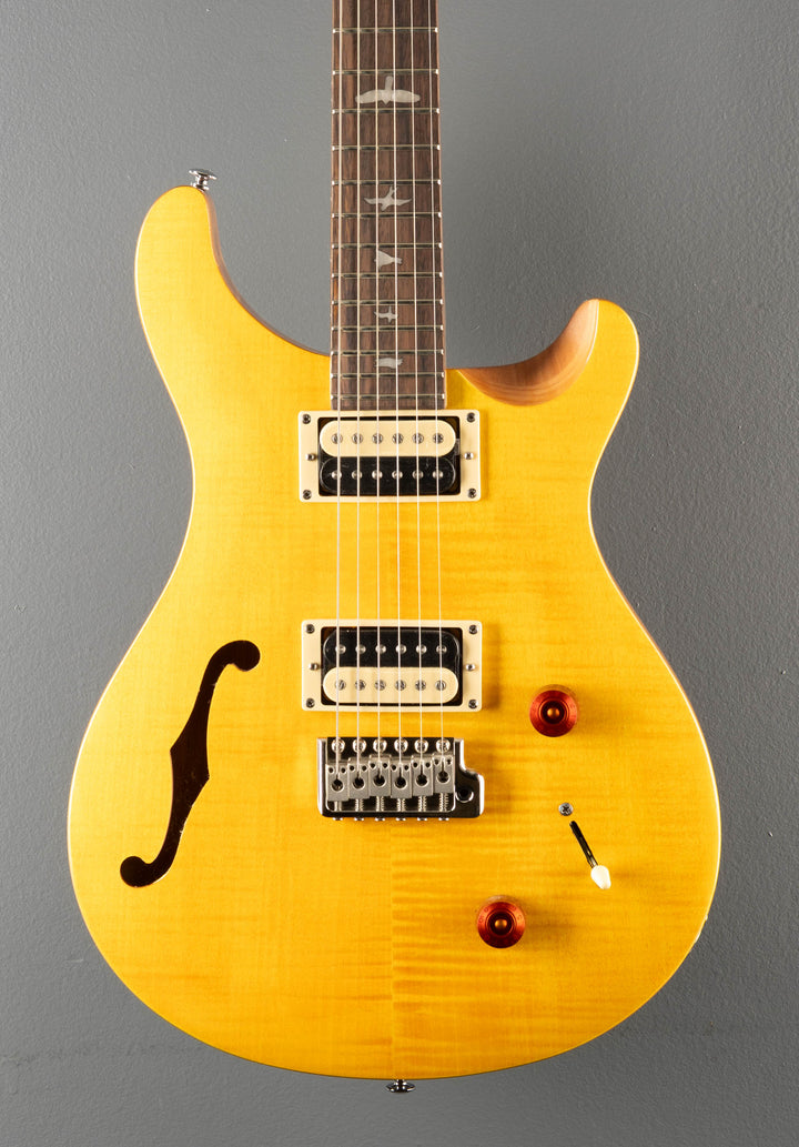 SE Custom 22 Semi-Hollow, '22