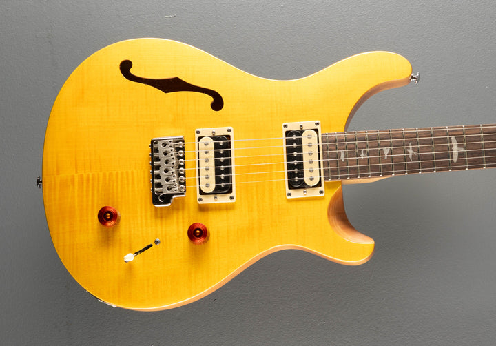 SE Custom 22 Semi-Hollow, '22