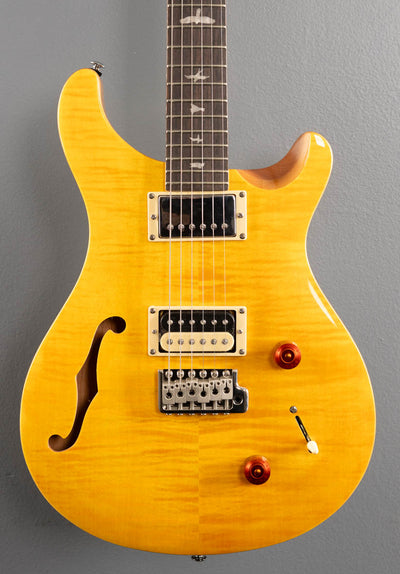 SE Custom 22 Semi-Hollow '22