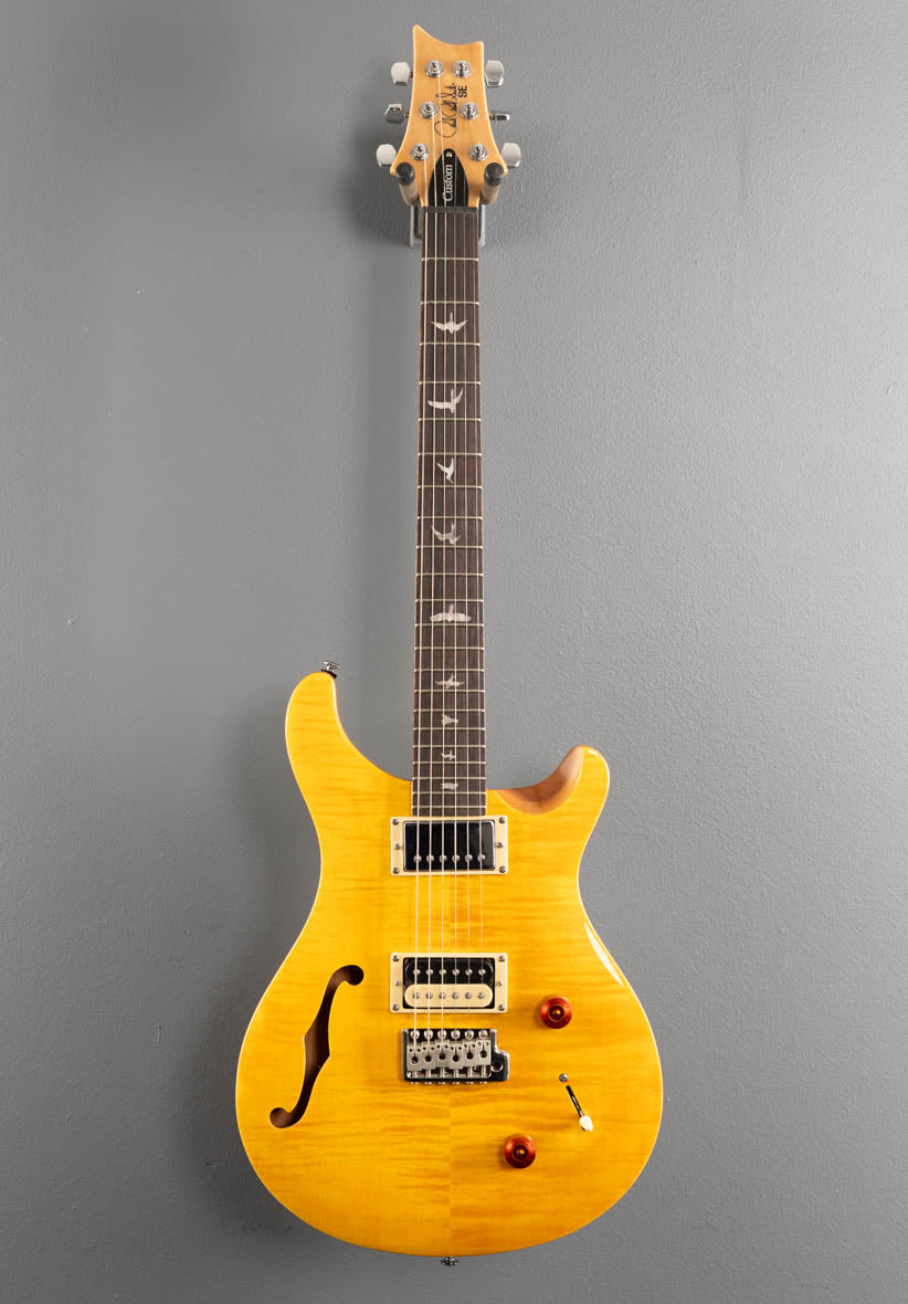 SE Custom 22 Semi-Hollow '22