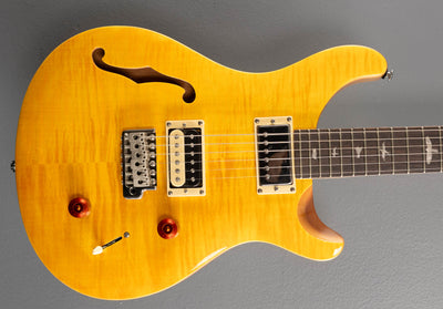 SE Custom 22 Semi-Hollow '22