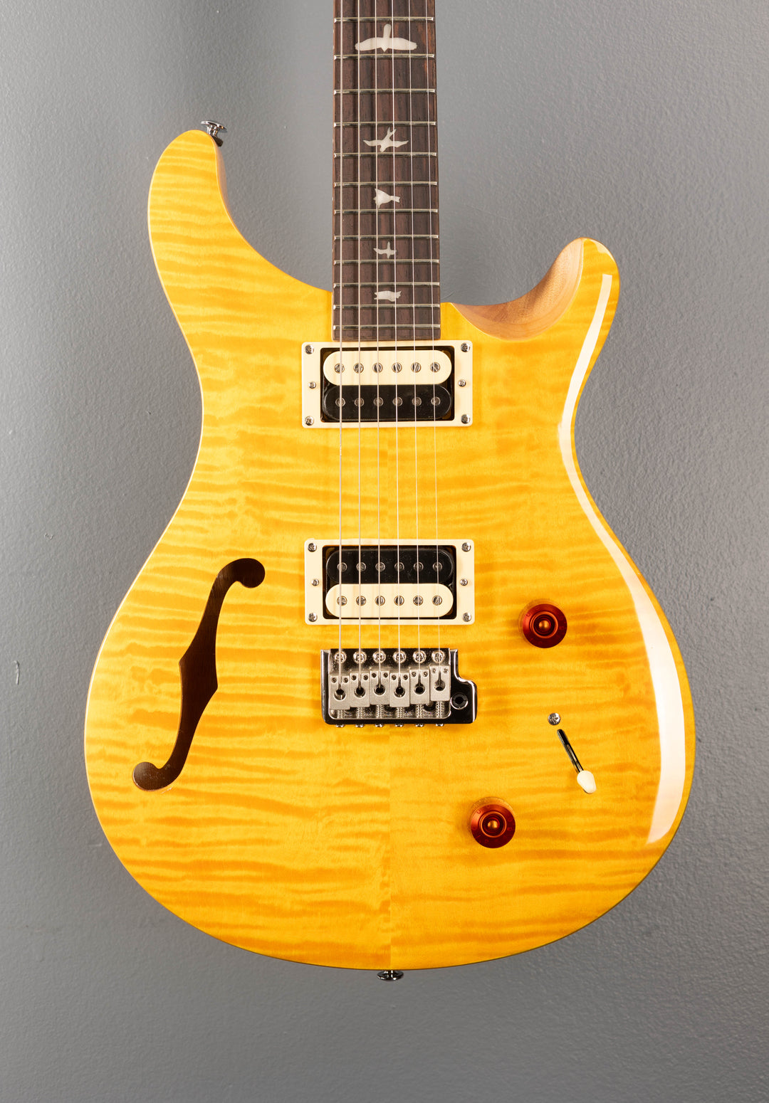 SE Custom 22 Semi-Hollow, '22