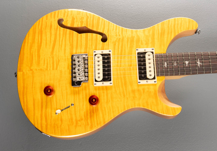 SE Custom 22 Semi-Hollow, '22