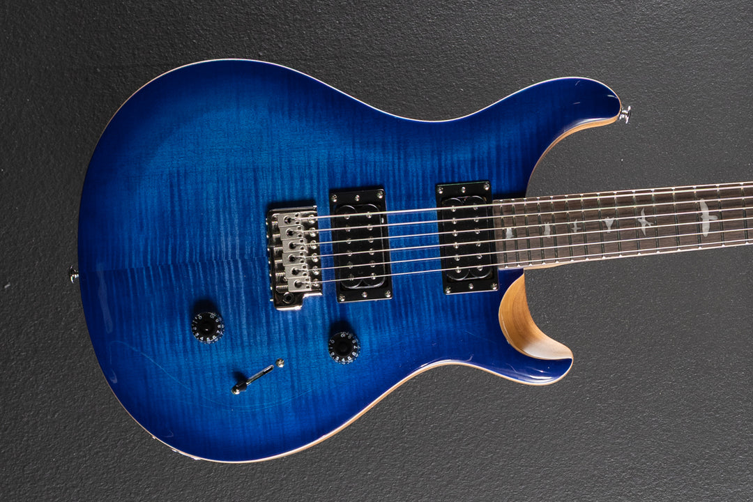 SE Custom 24 &