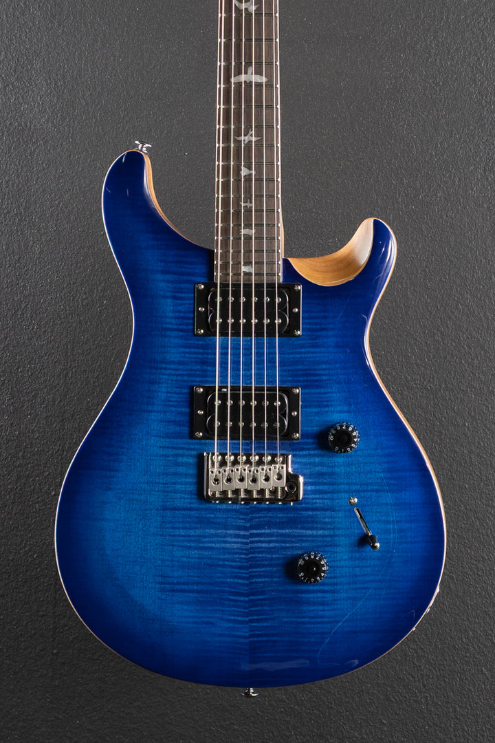 SE Custom 24 &