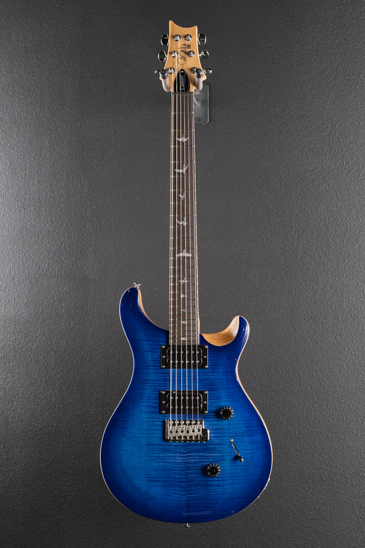 SE Custom 24 &