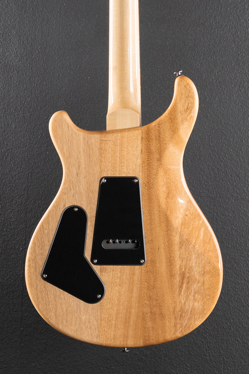 SE Custom 24 &
