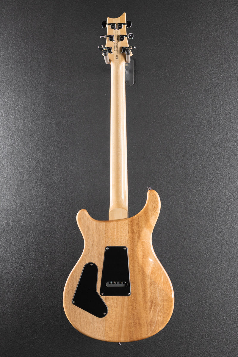 SE Custom 24 &