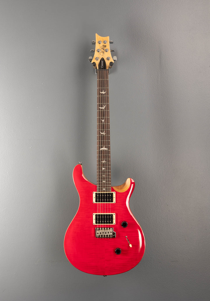 SE Custom 24 '22
