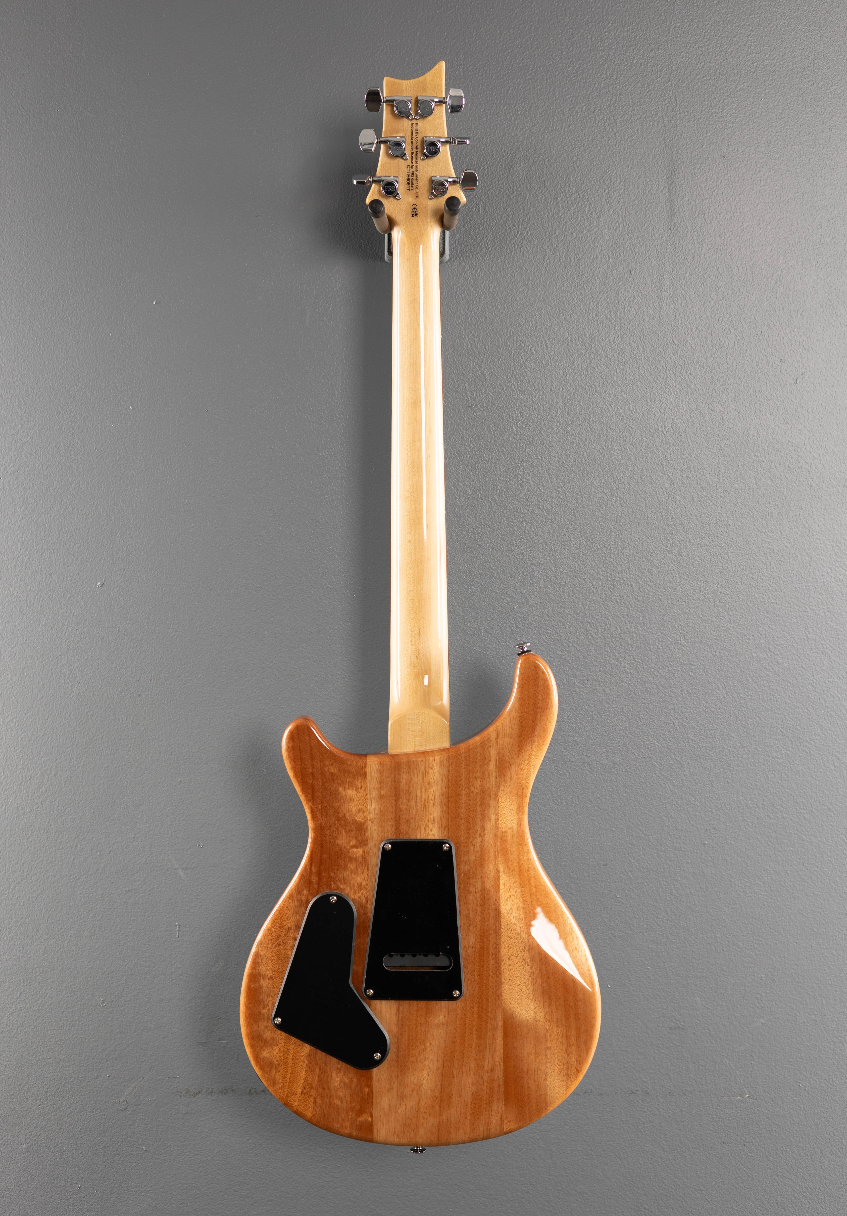 SE Custom 24 '22 – Dave's Guitar Shop