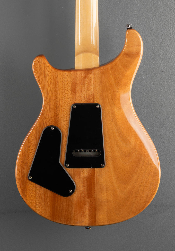 SE Custom 24 &