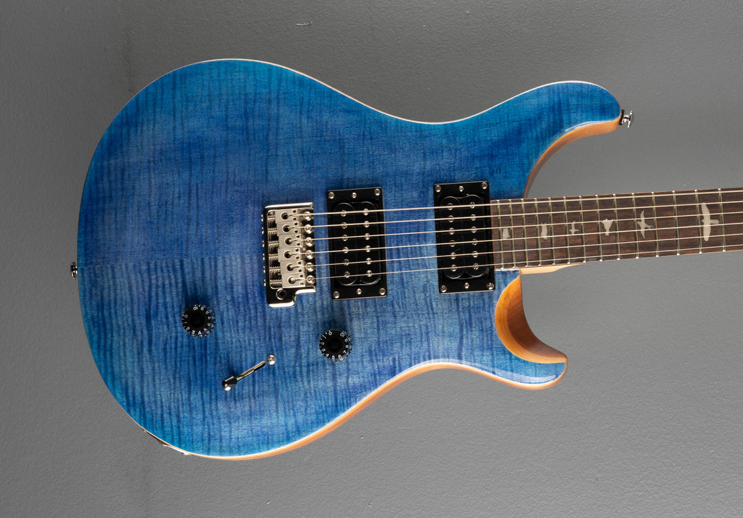 SE Custom 24 &