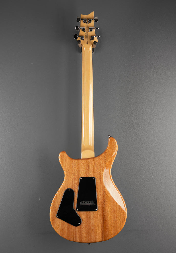 SE Custom 24 &
