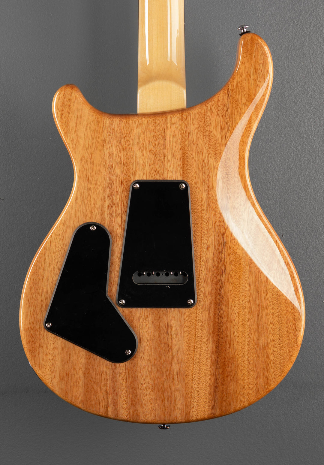 SE Custom 24 &