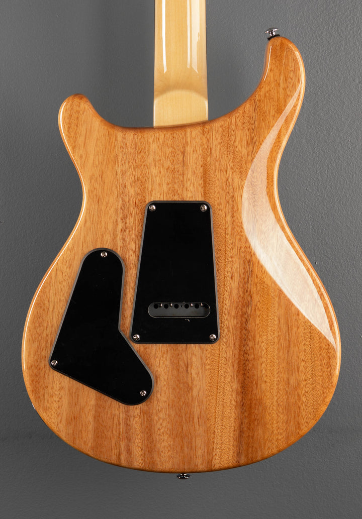 SE Custom 24 &