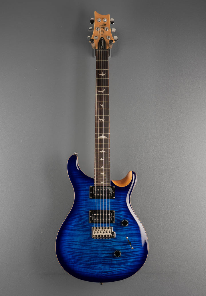 SE Custom 24 &
