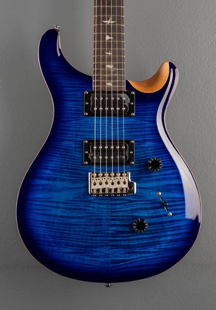 SE Custom 24 &