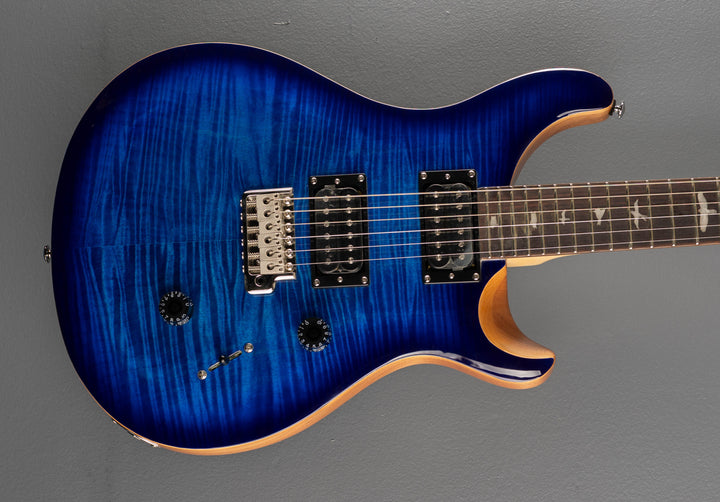 SE Custom 24 &