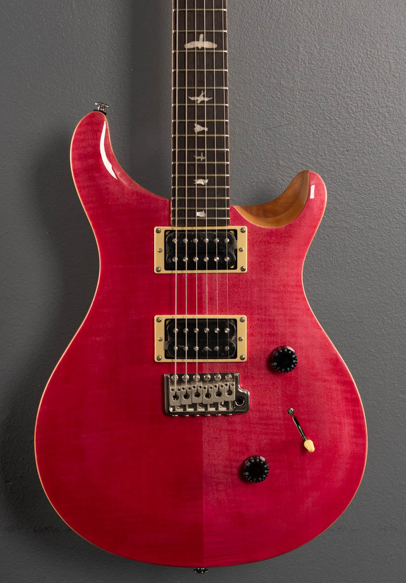 SE Custom 24 22 Dave s Guitar Shop