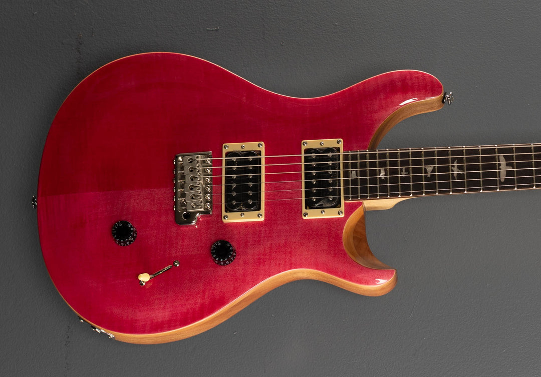SE Custom 24 