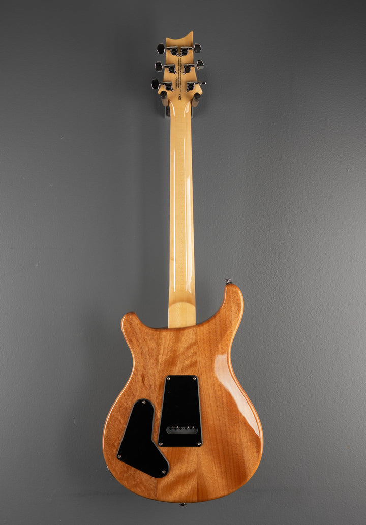 SE Custom 22 Semi-Hollow &