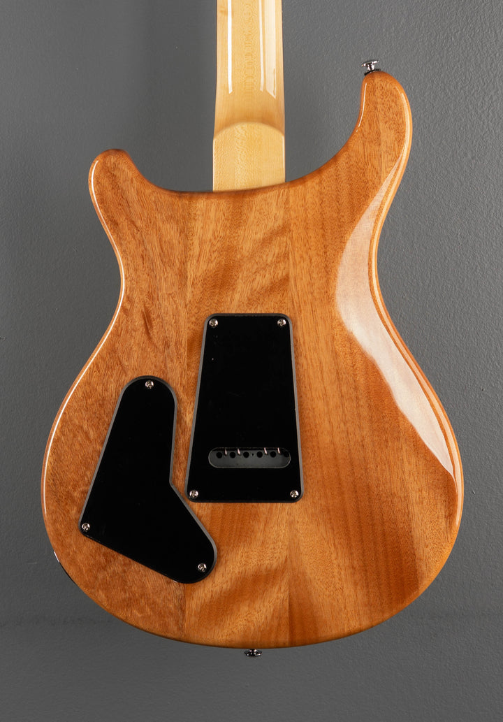 SE Custom 22 Semi-Hollow &