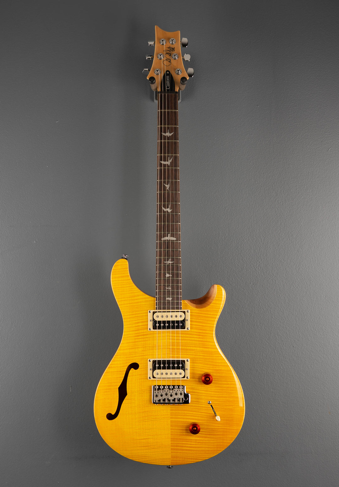 SE Custom 22 Semi-Hollow &