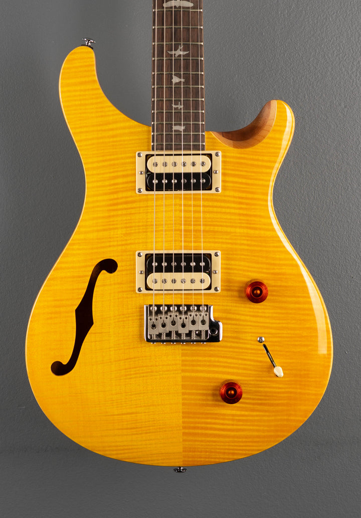 SE Custom 22 Semi-Hollow &