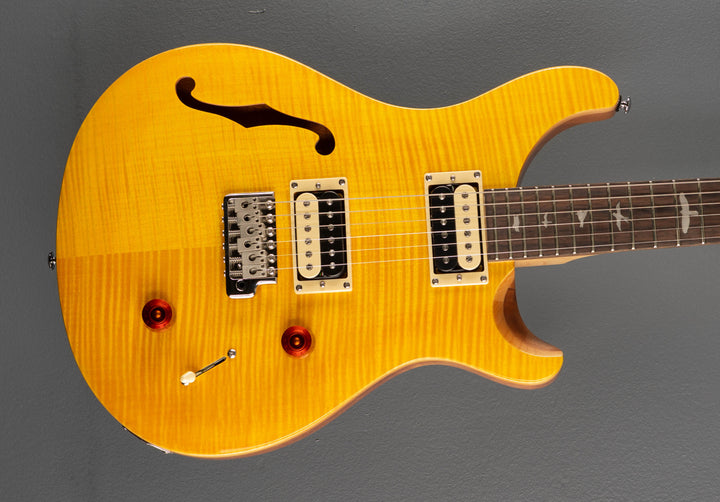 SE Custom 22 Semi-Hollow &