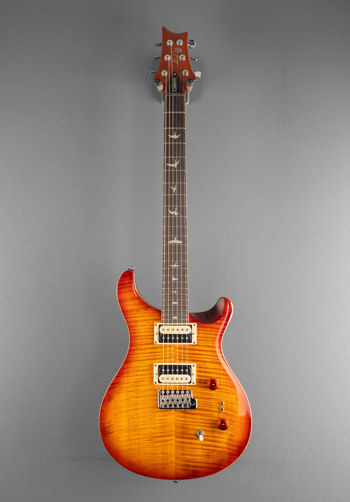 SE Custom 24-08 &