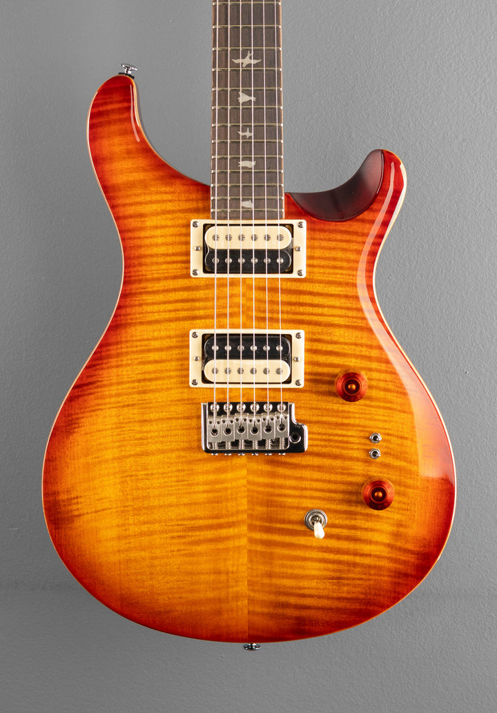 SE Custom 24-08 &