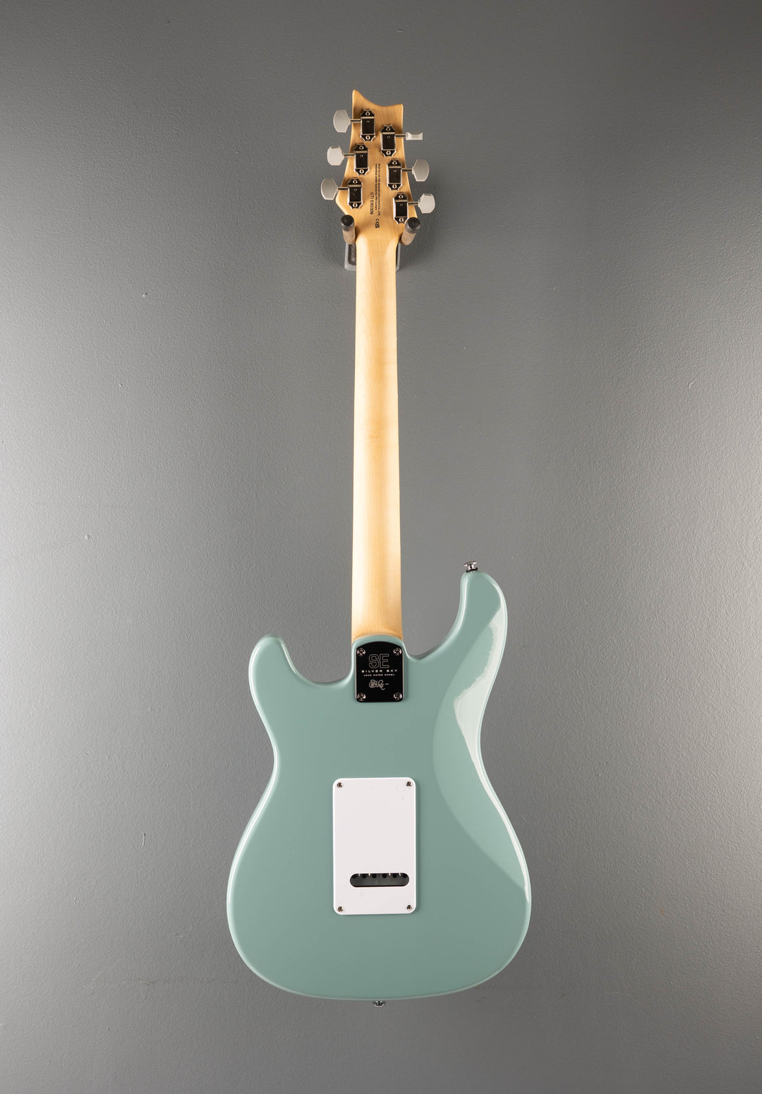 SE Silver Sky w/Rosewood, '22