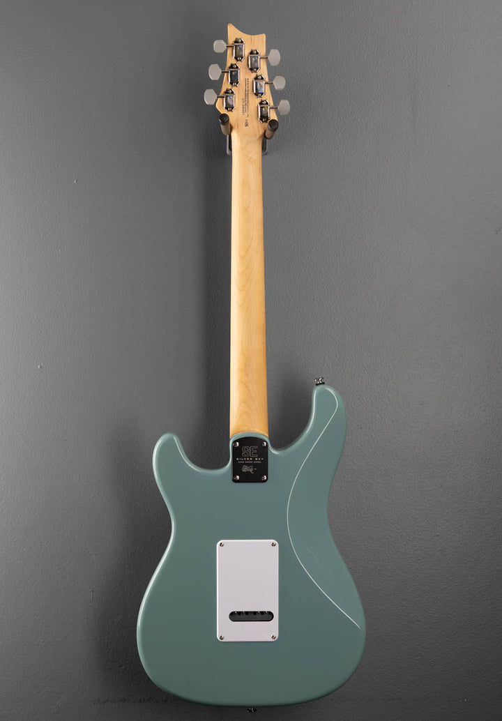 SE Silver Sky w/Rosewood, '22