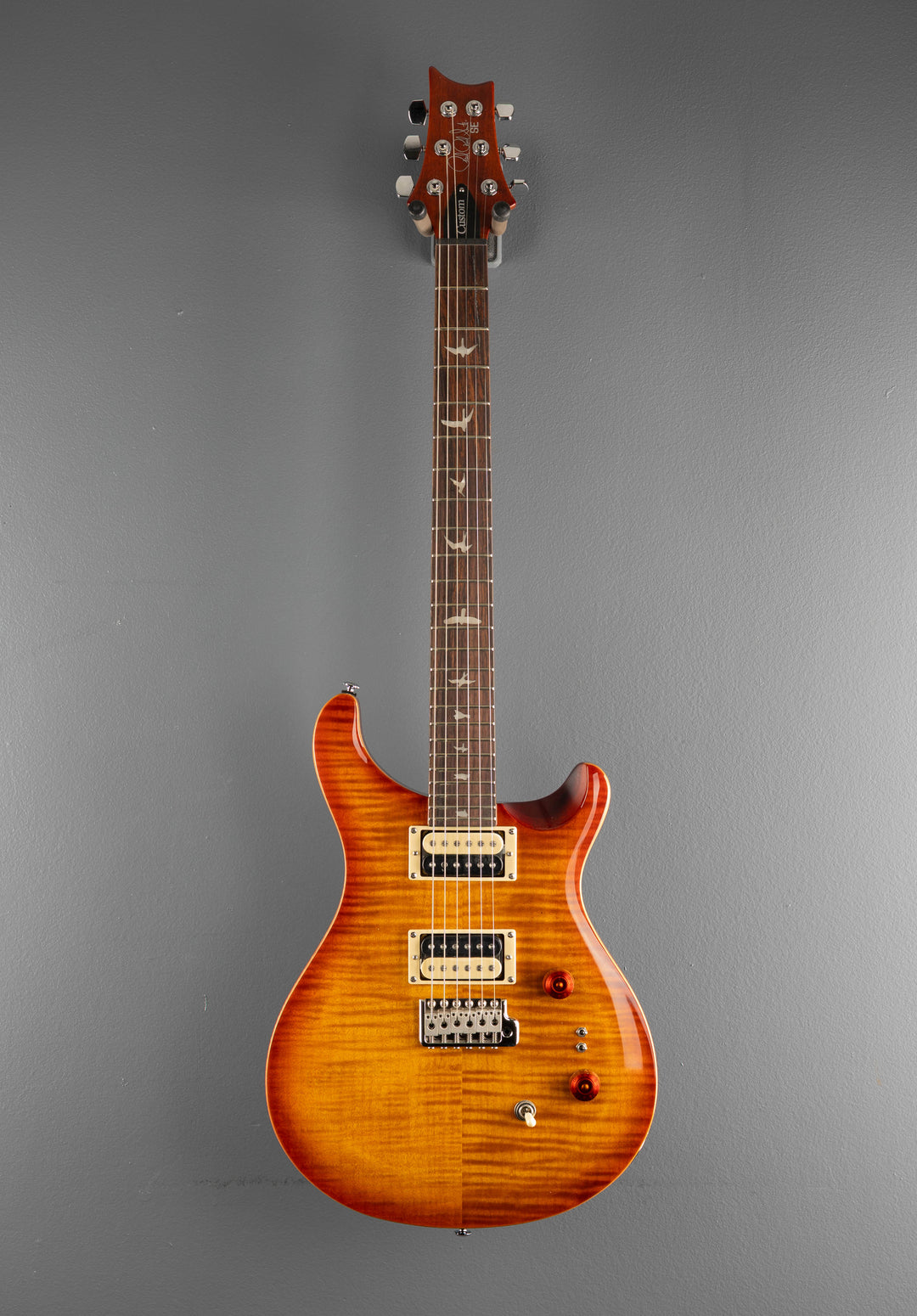 SE Custom 24-08 &
